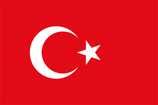 Логотип Турецкие